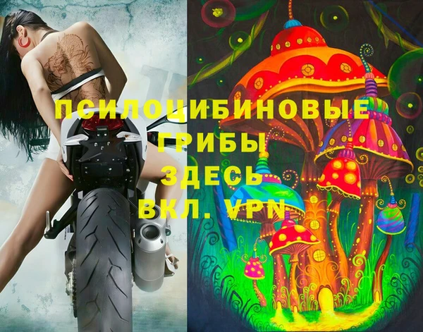 круглые Рославль