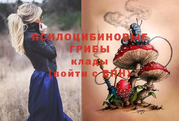 прущие крисы Россошь