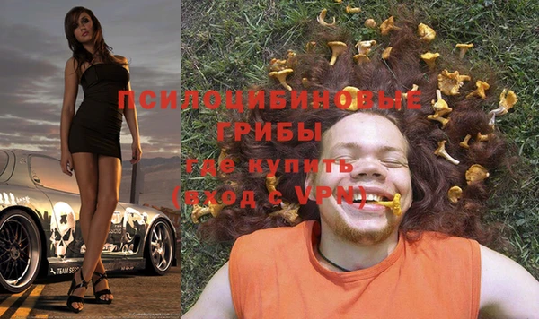 прущие крисы Россошь